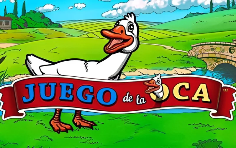 Jogo de dardos profissional